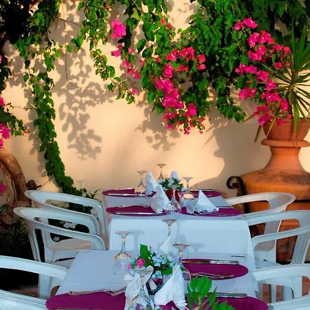 Highlife 马尔马里斯